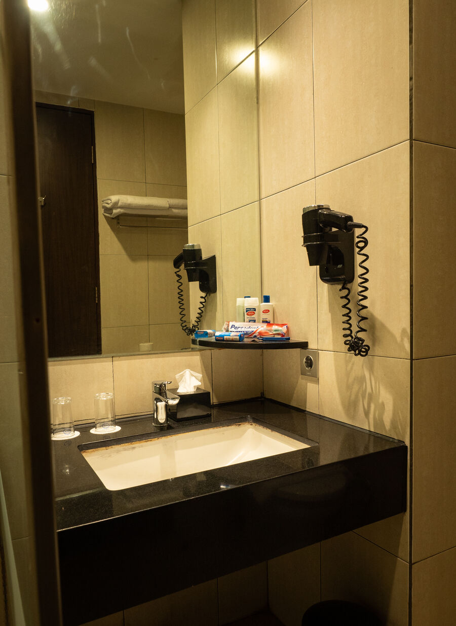 Deluxe Plus Room — 8